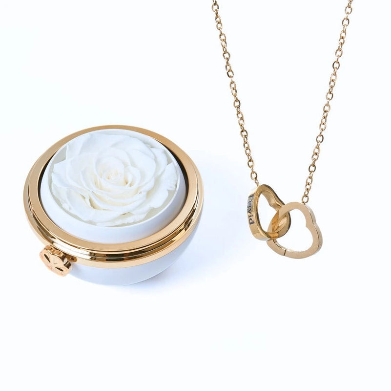 Ewige Rose unter Glaskuppel mit Kette